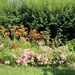 Appartement Thea 100m2 For 5 Guests In Rose *