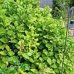 Thea 100m2 For 5 Guests In Rose Appartement Ljubljana