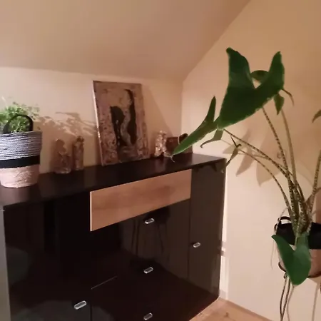 Apartment Thea 100M2 For 5 Guests Mrse