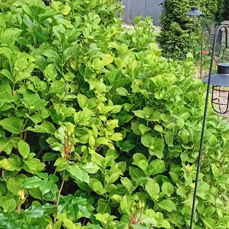 Thea 100m2 For 5 Guests Apartamento Liubliana