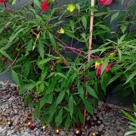 Thea 100m2 For 5 Guests Apartamento