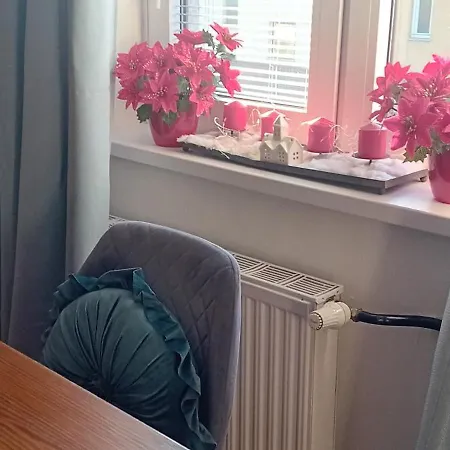 Thea 100m2 For 5 Guests In Rose Liubliana