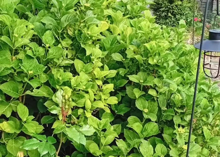 Thea 100m2 For 5 Guests In Rose Apartamento Liubliana