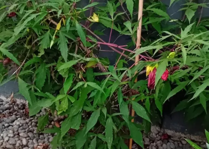 Thea 100m2 For 5 Guests In Rose Apartamento