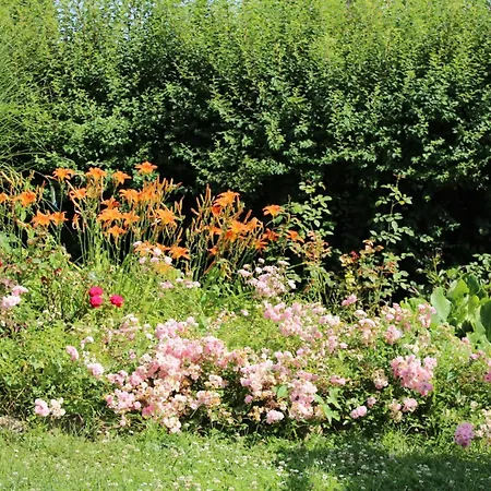 Apartman Thea 100m2 For 5 Guests In Rose *